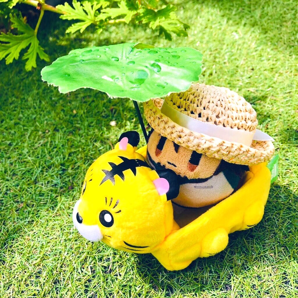 高城(道具)🐰🐯🐰🐲🤖🐊 tweet media