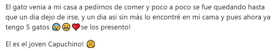 #OSINT. #Alejandhra tweet media