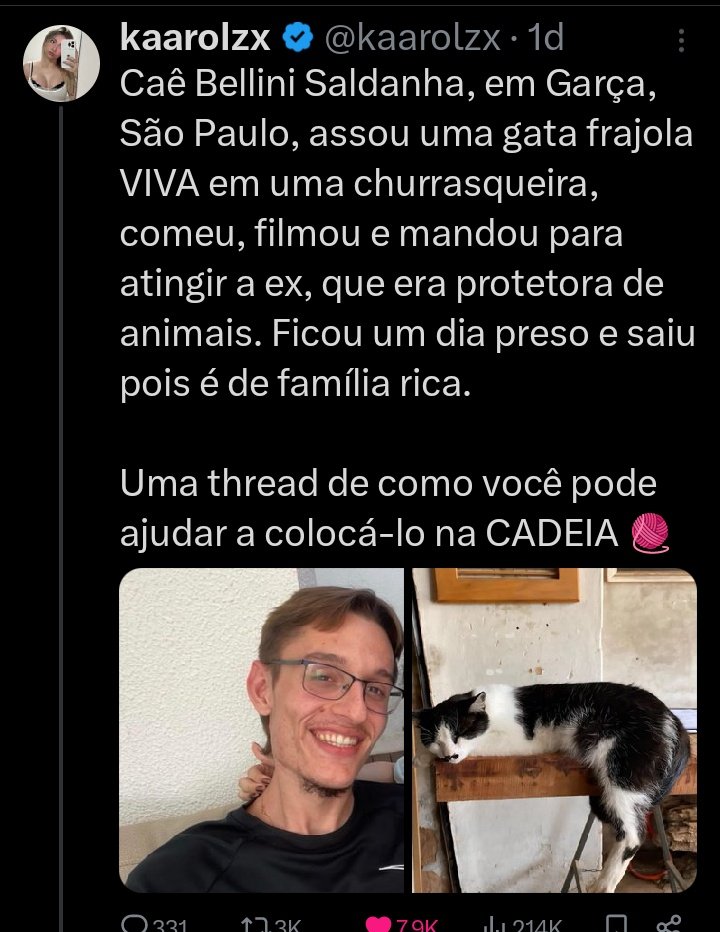 ana misandrica tweet media