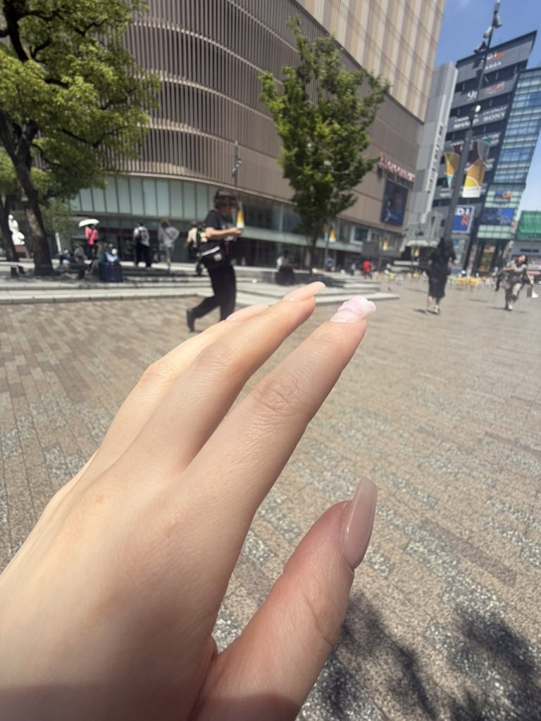 코똥이👼🏻 tweet media