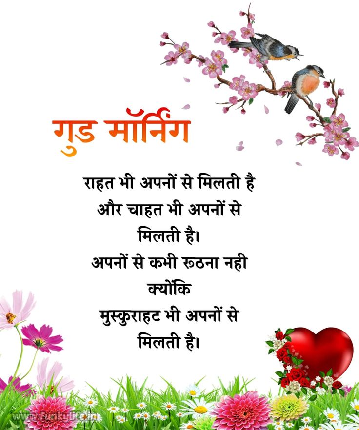 Typical Fact tweet media