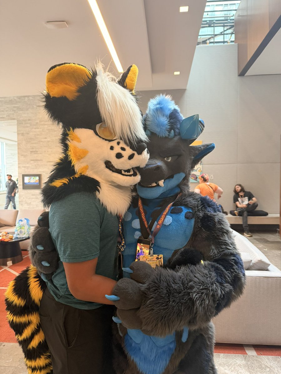 Donz🟡⚫️🐯🔜ANTHROCON!!! tweet media