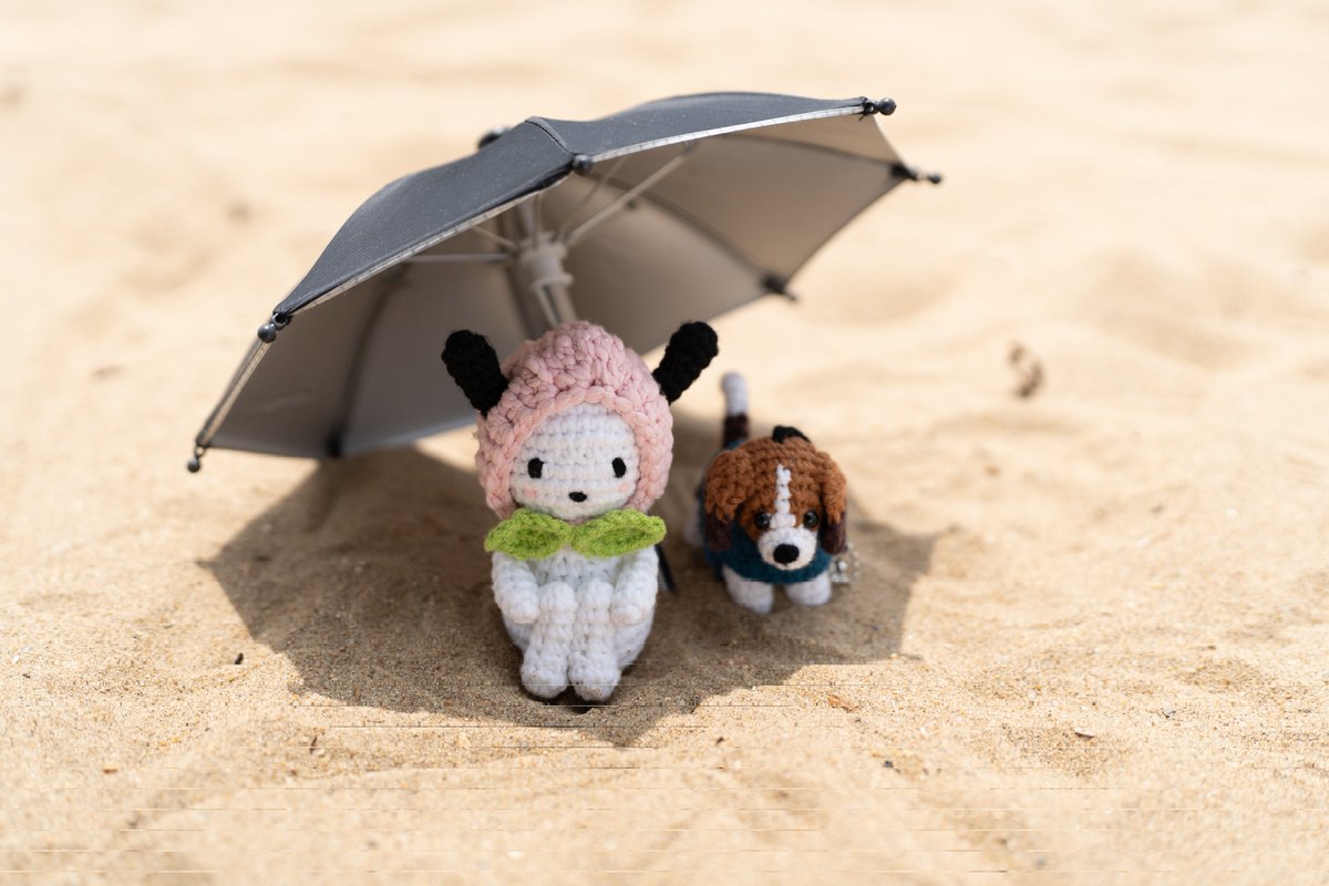Subsubdh's tweet photo. 꾸니랑 차코랑 바닷가 🏖 https://t.co/GpyDJiFJvh