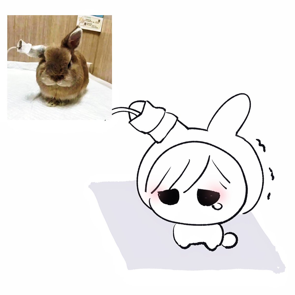 めぐみん tweet media