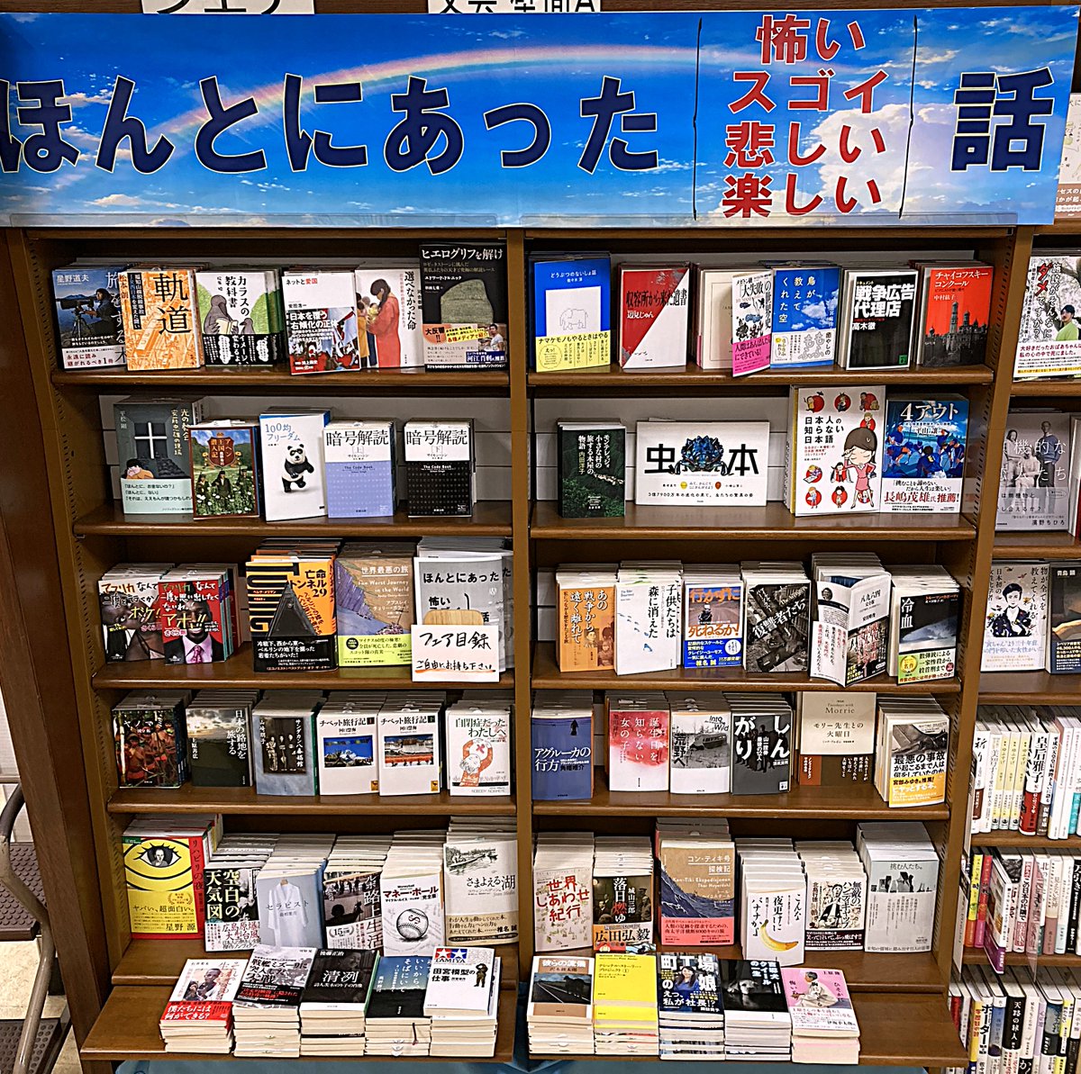 ⚠️11月16日で処分します⚠️ 本棚 拡大後の棚、こんな感じ。