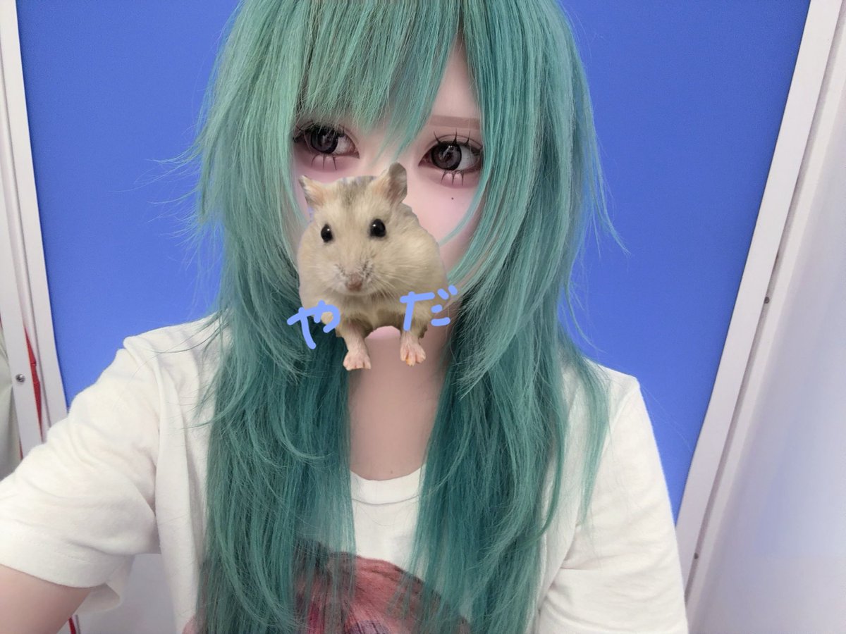 nemsgiru's tweet photo. https://t.co/GEAK0pTFoY