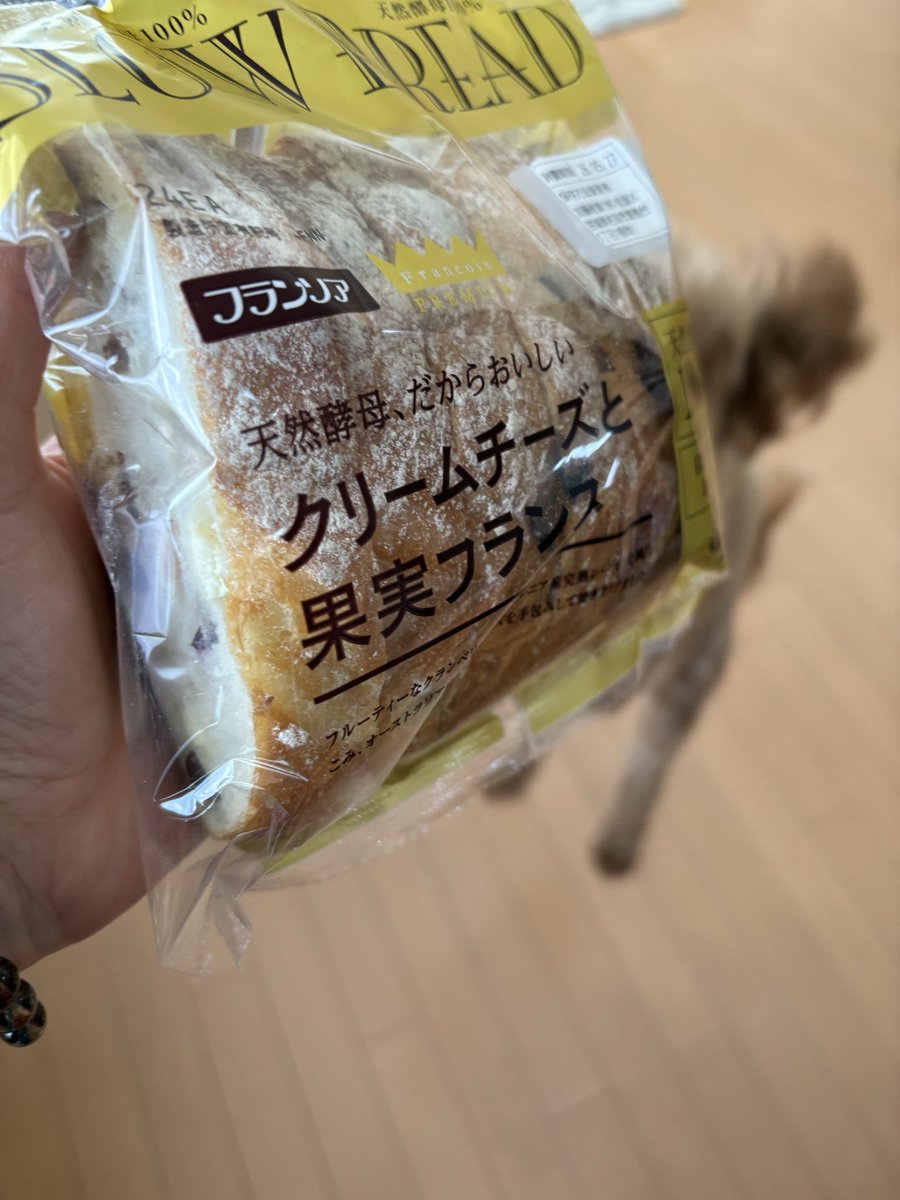 persian_violet's tweet photo. それ食べたーい（食べれません） https://t.co/JrclvWjCeQ