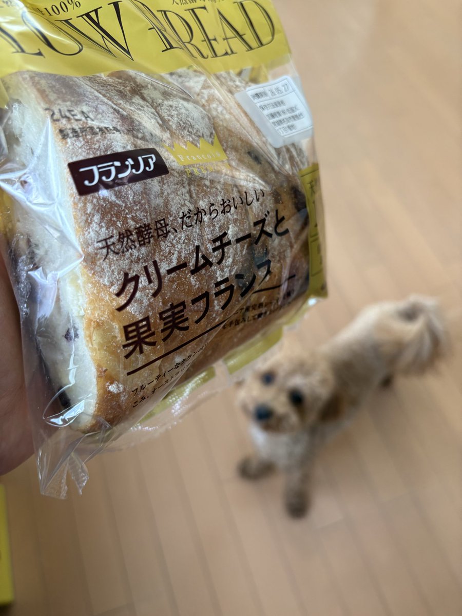persian_violet's tweet photo. それ食べたーい（食べれません） https://t.co/JrclvWjCeQ