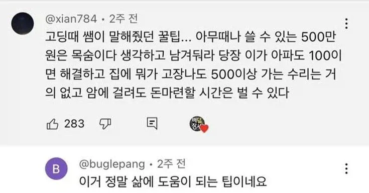 유용한 정보 저장계 tweet media
