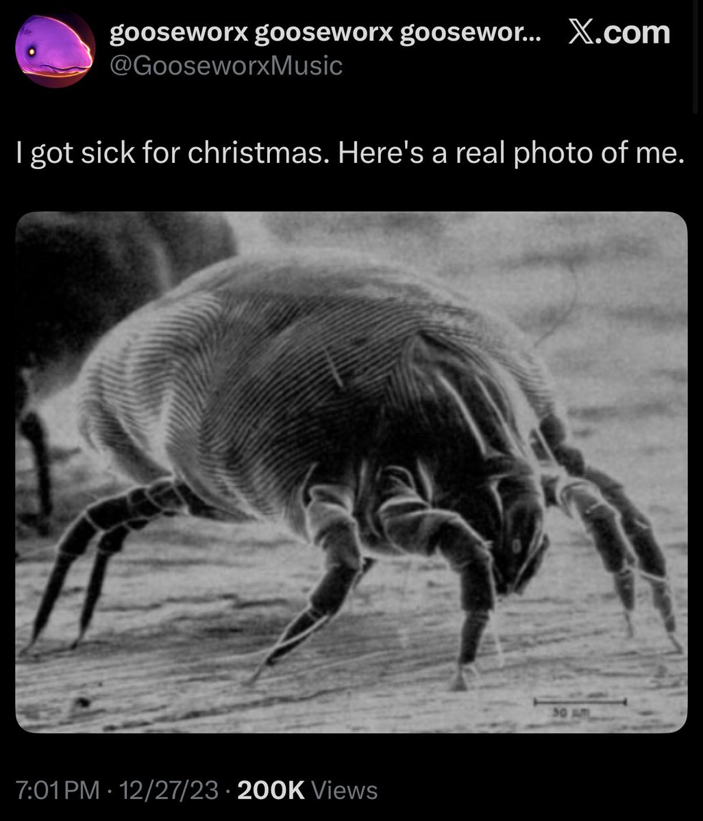 ChronicleOrange tweet media