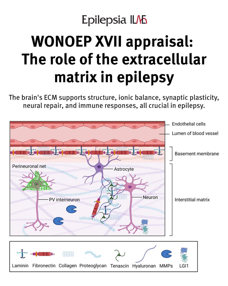 International League Against Epilepsy tweet media