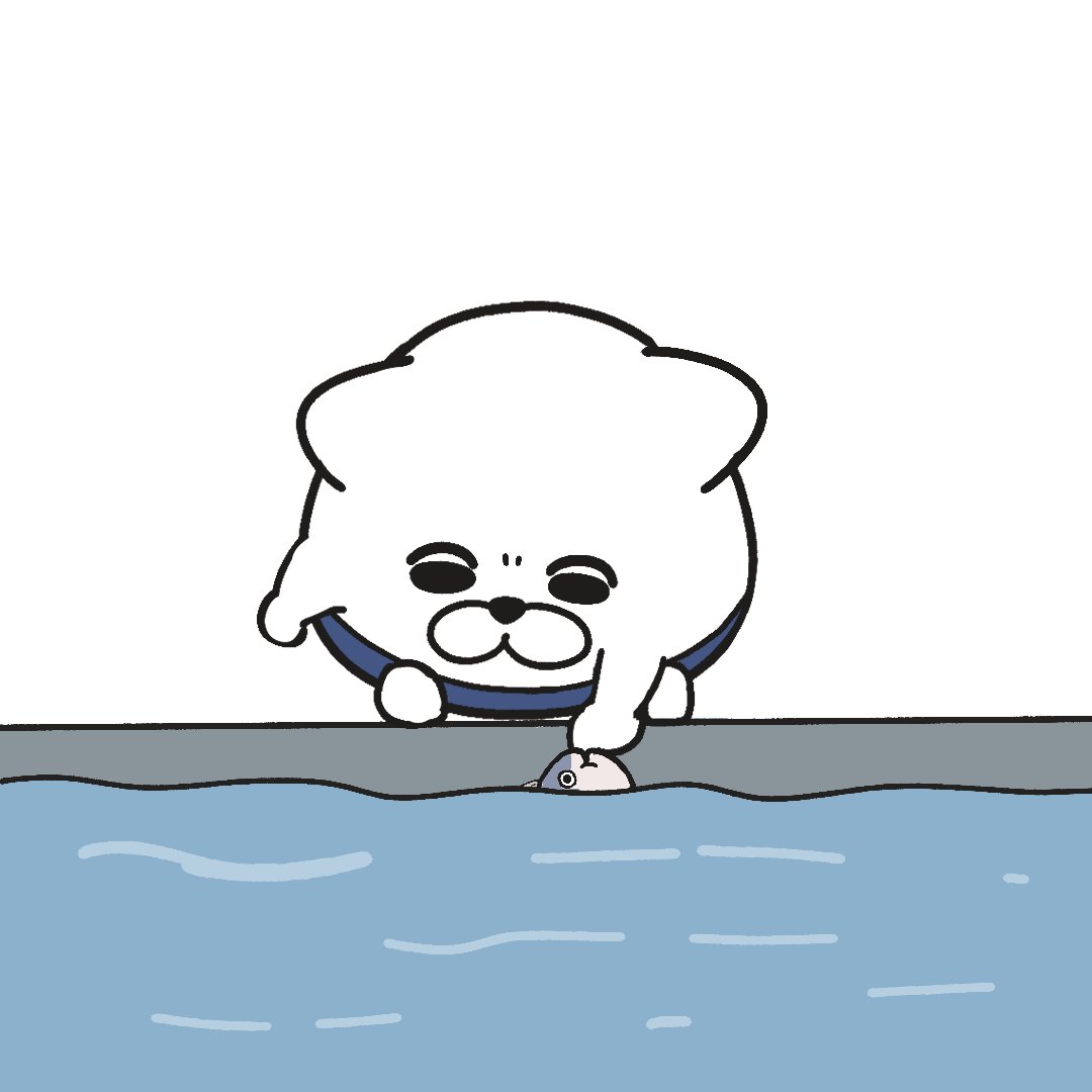 바지냥이 bajinyangi tweet media