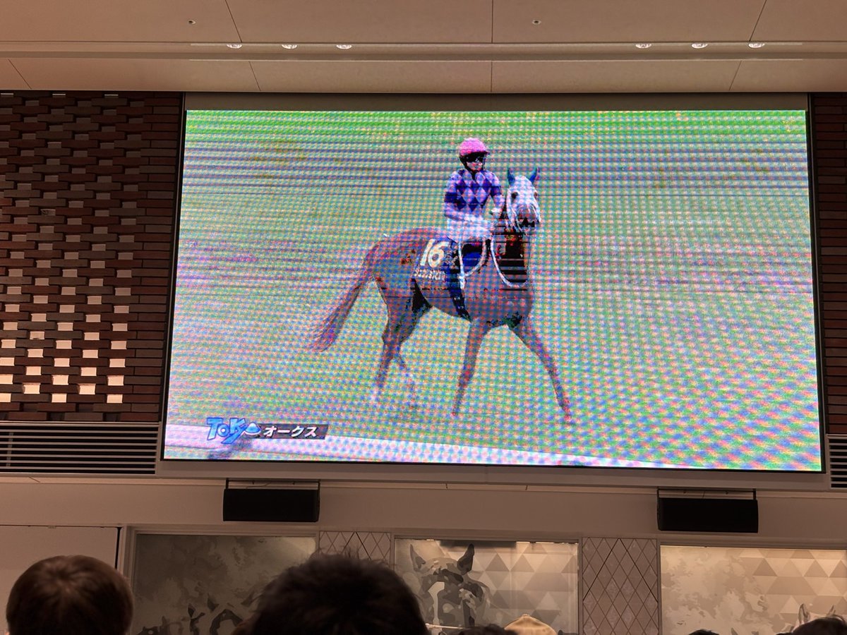 anna_mama28's tweet photo. 人生初の場外馬券場🏇
予想は残念ながら外れたけど、スゴい感動しました🥹
女性騎手初のＧ１制覇❗️
今村聖奈騎手おめでとう🎊￼

それにしても
しょっぴー💙→Snow Man箱推し→めめのドラマ→競馬🏇
ギャンブル嫌いだった自分が…推し活ってスゴい🤣￼
#競馬 #オークス #SnowMan https://t.co/cjxF3iCmgh