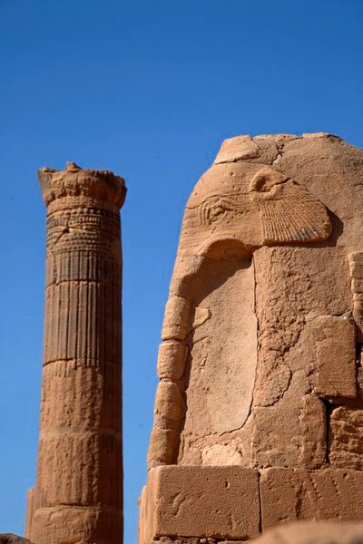 SudaneseCulture's tweet photo. The Elephant Temple At Musawwarat es-Sufra, Sudan.
#SudaneseCulture

 معبد الفيل, المصرورات الصفراء، السودان.
 #ثقافة_سودانية https://t.co/eZjJu2blEF
