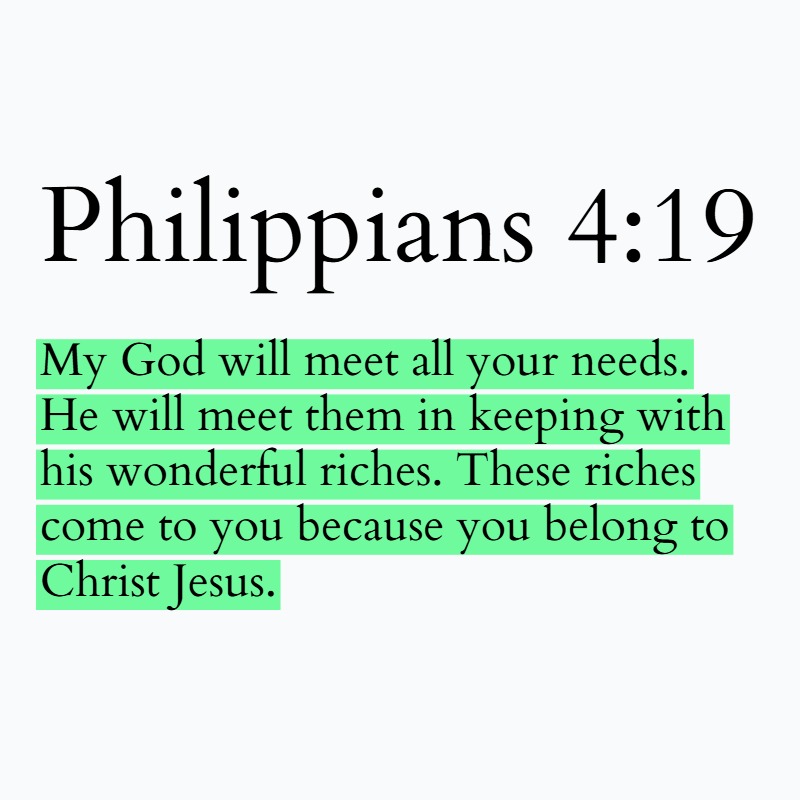 Holy Bible tweet media