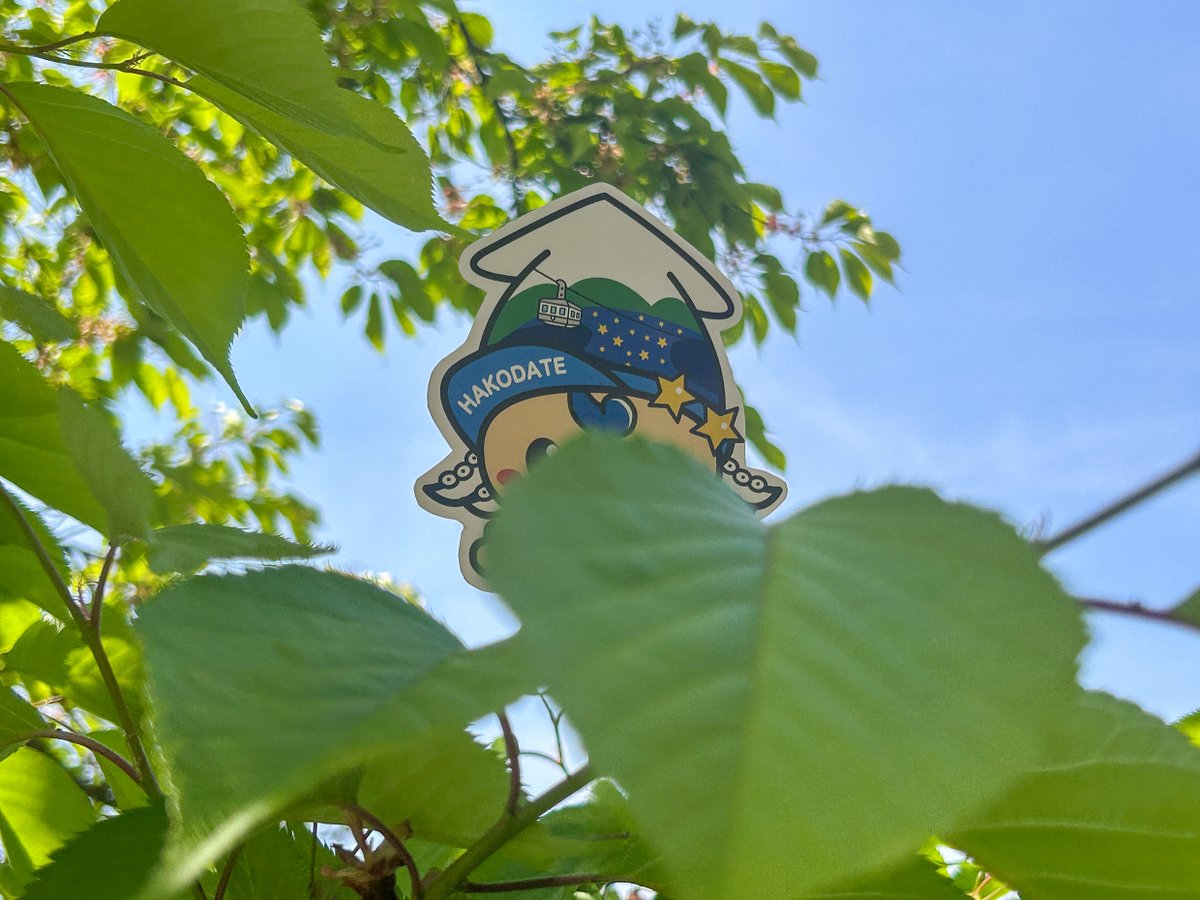exokun_hakodate's tweet photo. (.◦ω◦.)こんにちフラァ〜ッシュ☀️
昨日はひさしぶりに雨が降ってちょっと寒かったゾね☔️
植物さん🌱にとっては雨でよかったのかもしれないゾね〜ᐠ(∗ᵔᗜᵔ∗)ᐟ今日はまたよいお天気っ⭐️
もりもりお昼ご飯を食べて午後からもよろしくフラ〜ッシュ🍵
#函館 #みなみ #北海道 https://t.co/CzGD3ILR2D