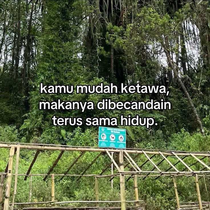 sinii ceritaa tweet media