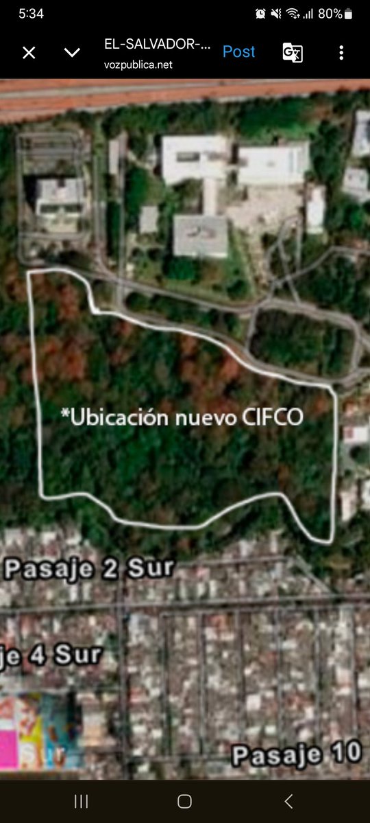 Chuchitos y Asociados tweet media