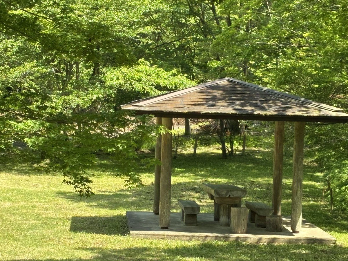 東屋でゆっくりしたいけど クマ🐻怖いので見るだけにしとこう めっちゃ