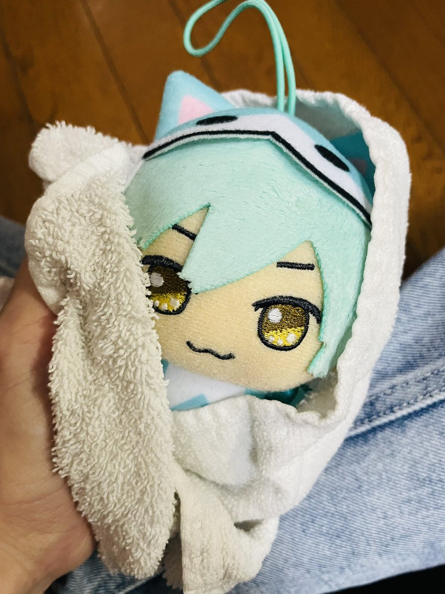 スタイ tweet media