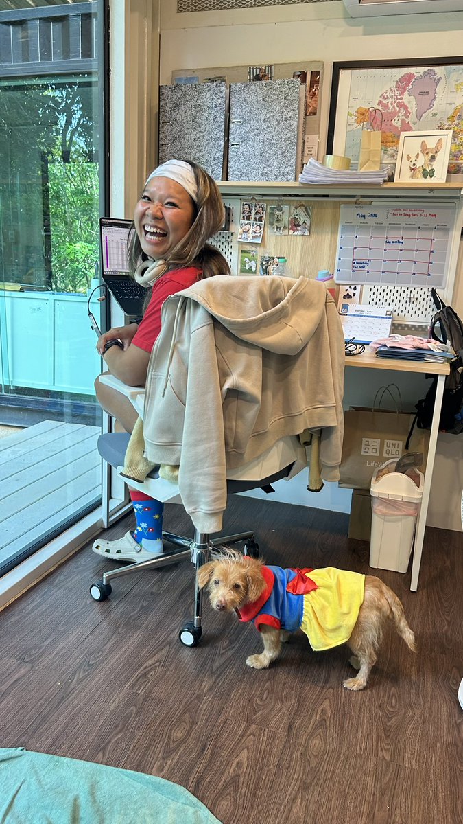 Happy Doggo Thailand tweet media