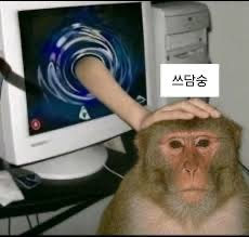 제밍 tweet media
