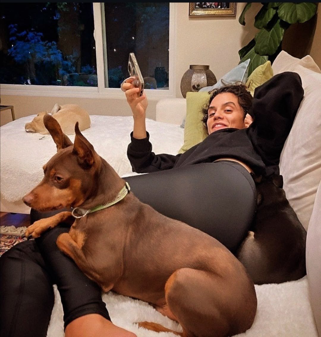 strapidehmoafi's tweet photo. if you see simone de beauvoir (the dog) getting crushed by sepideh moafi do not bother her. she is right where she wants to be. https://t.co/lcEoSRaFWa