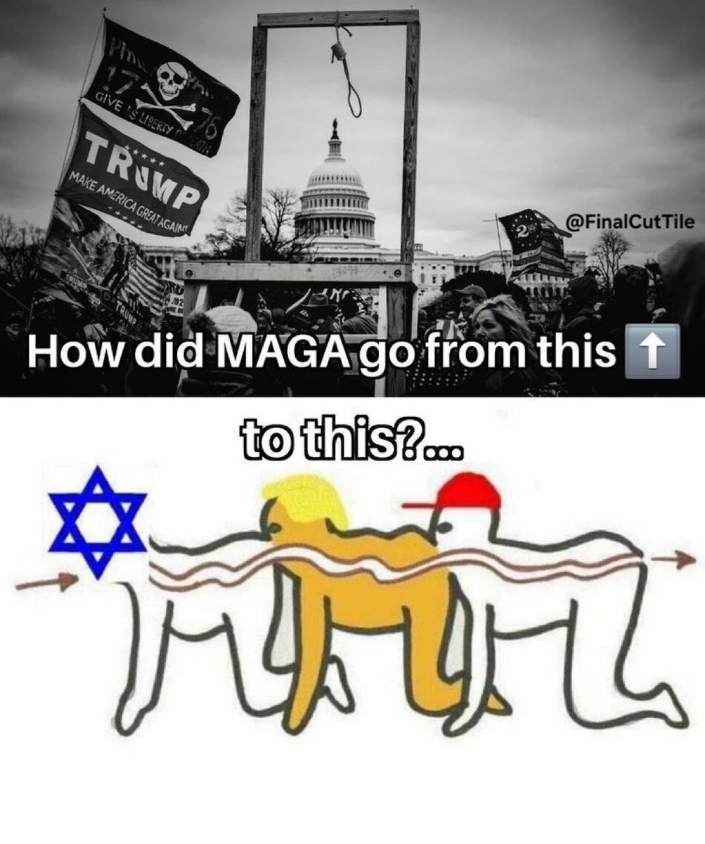 Courtney Astor 🇺🇸🇵🇸🇺🇳 tweet media