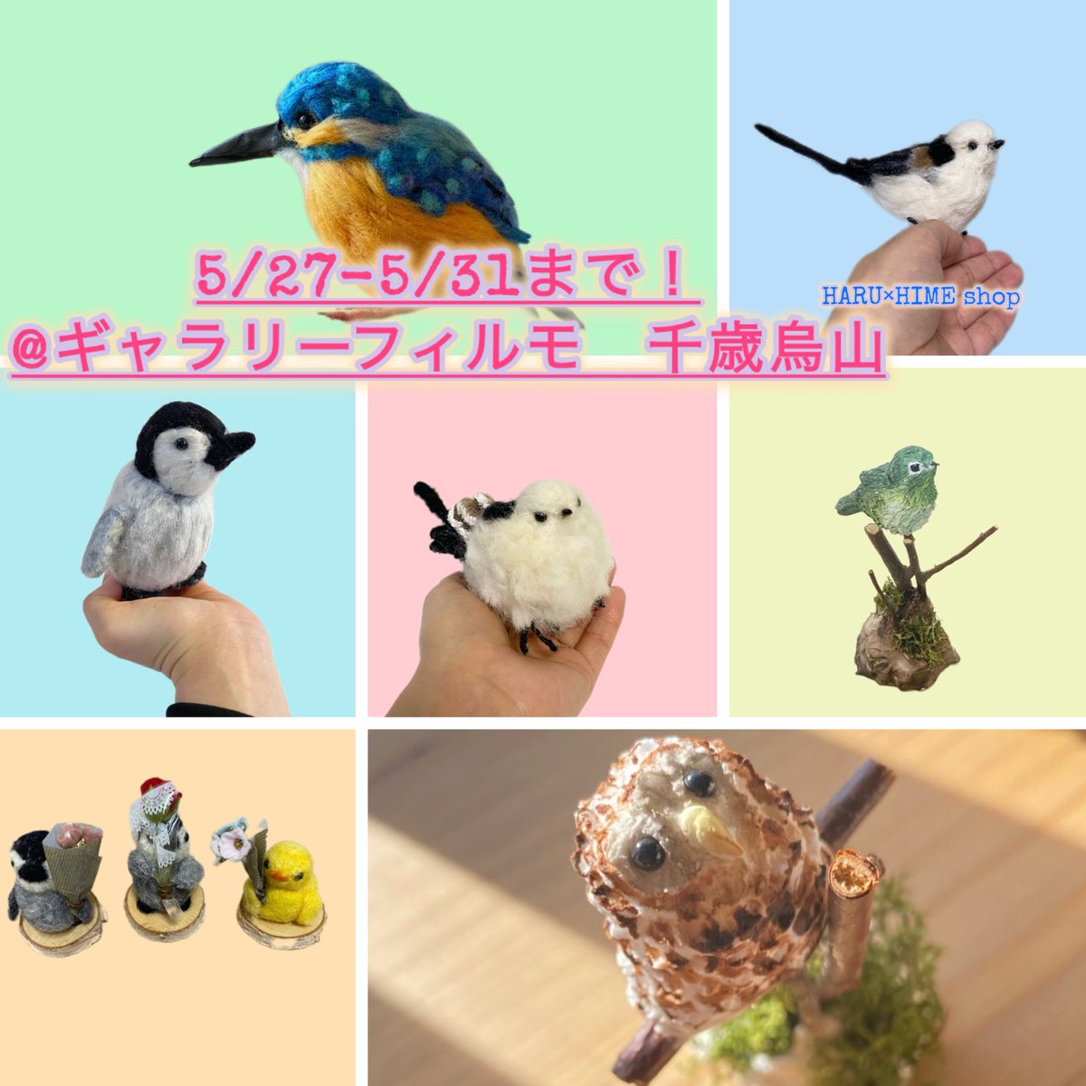 haruhimeshop's tweet photo. @galleryfilmo さんにて展示＆販売します！🕊️
5/27-5/31 まで、場所は千歳烏山駅から近いです。
展示会にしか来ない子達もいるのでこの機会に宜しければどうぞ✨ https://t.co/fh3aILvd3m