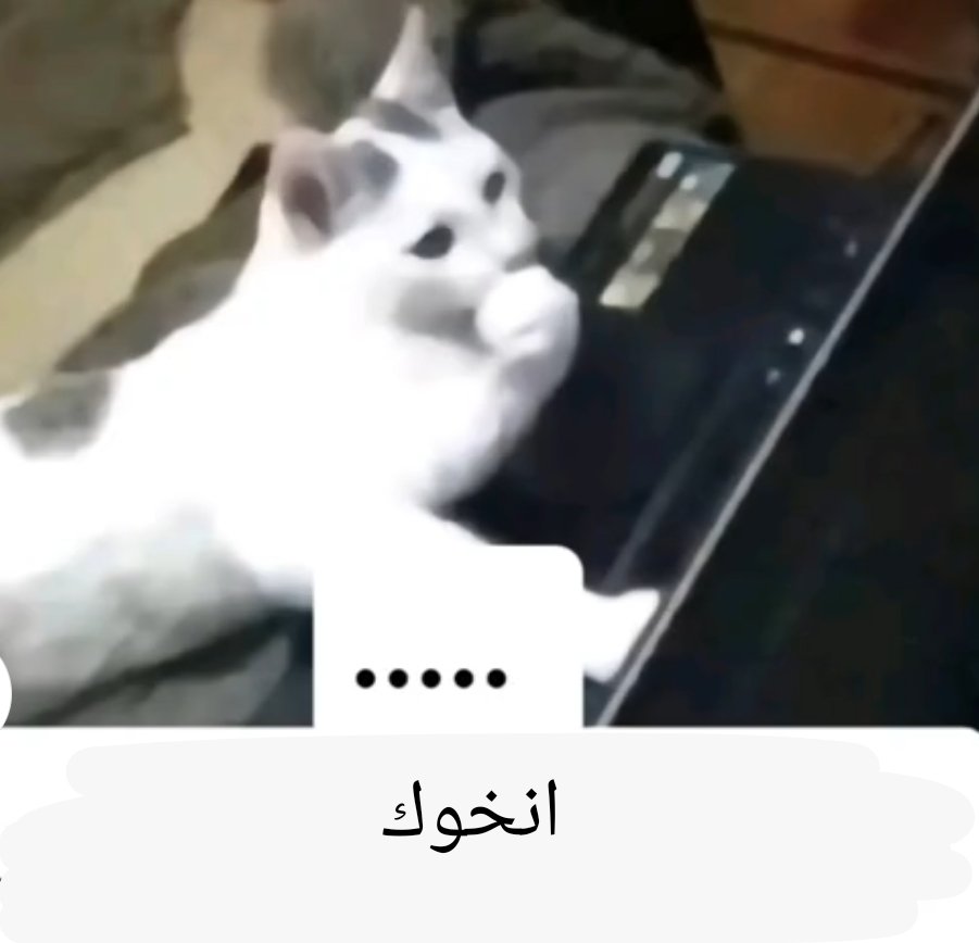 Hooh حوح tweet media