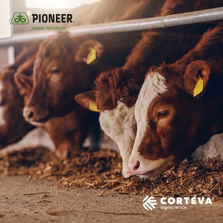 Corteva Ireland tweet media