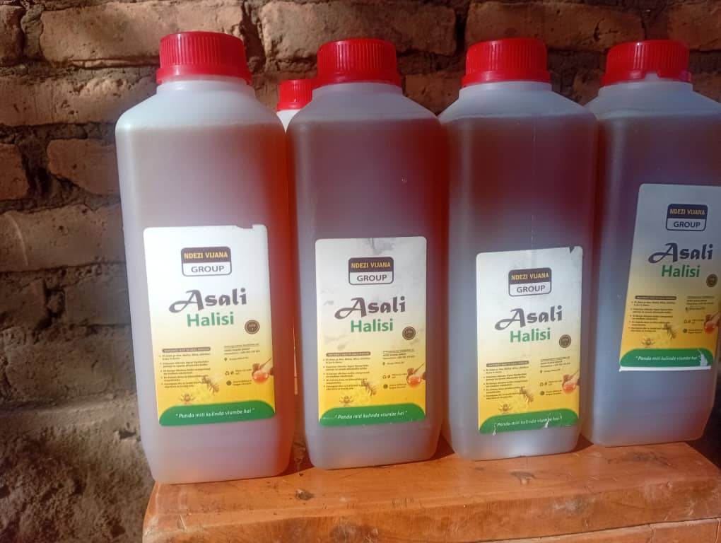 SolidaridadECA's tweet photo. In Tanzania, the concluded BASE project (2025 -2026)  exceeded targets, supporting 13,956 smallholder farmers (65% women &amp; youth) in Mbeya &amp; Songwe to build resilient agriculture. Partnering with Mbozi DC, we trained 211 women &amp; youth ToTs from 7 VSLAs in modern beekeeping. https://t.co/cspG4Q8PyJ