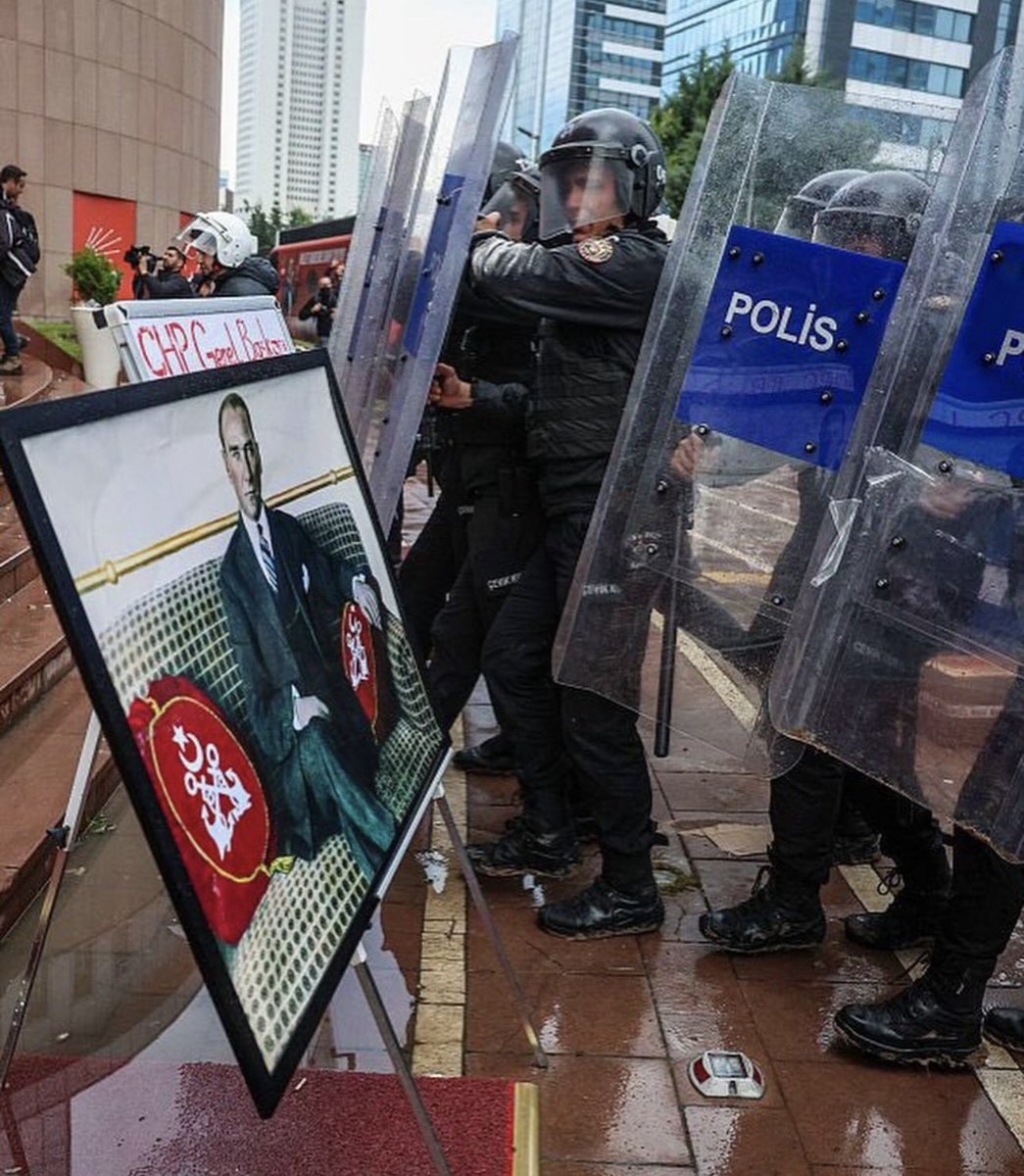 Sokak Kedisi tweet media