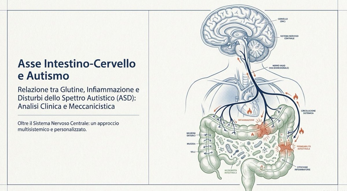 Prof_Rotolo's tweet photo. Episodio 50: Autismo Intestino 3. L'articolo descritto nel nostro video sottolinea la complessa relazione tra il consumo di glutine e i disturbi dello spettro autistico, evidenziando l'asse intestino-cervello giochi un ruolo determinante. https://t.co/90AF1ANV96 https://t.co/8rrHWVkZa2