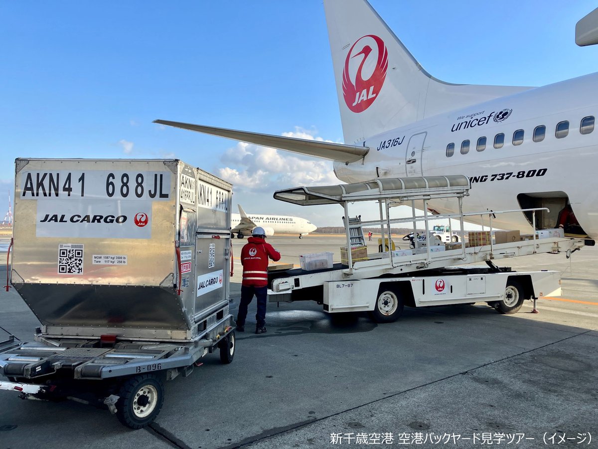 JAPAN AIRLINES【JAL】 tweet media