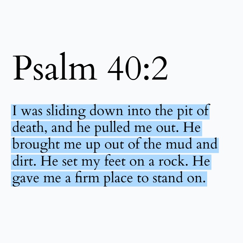 Holy Bible tweet media