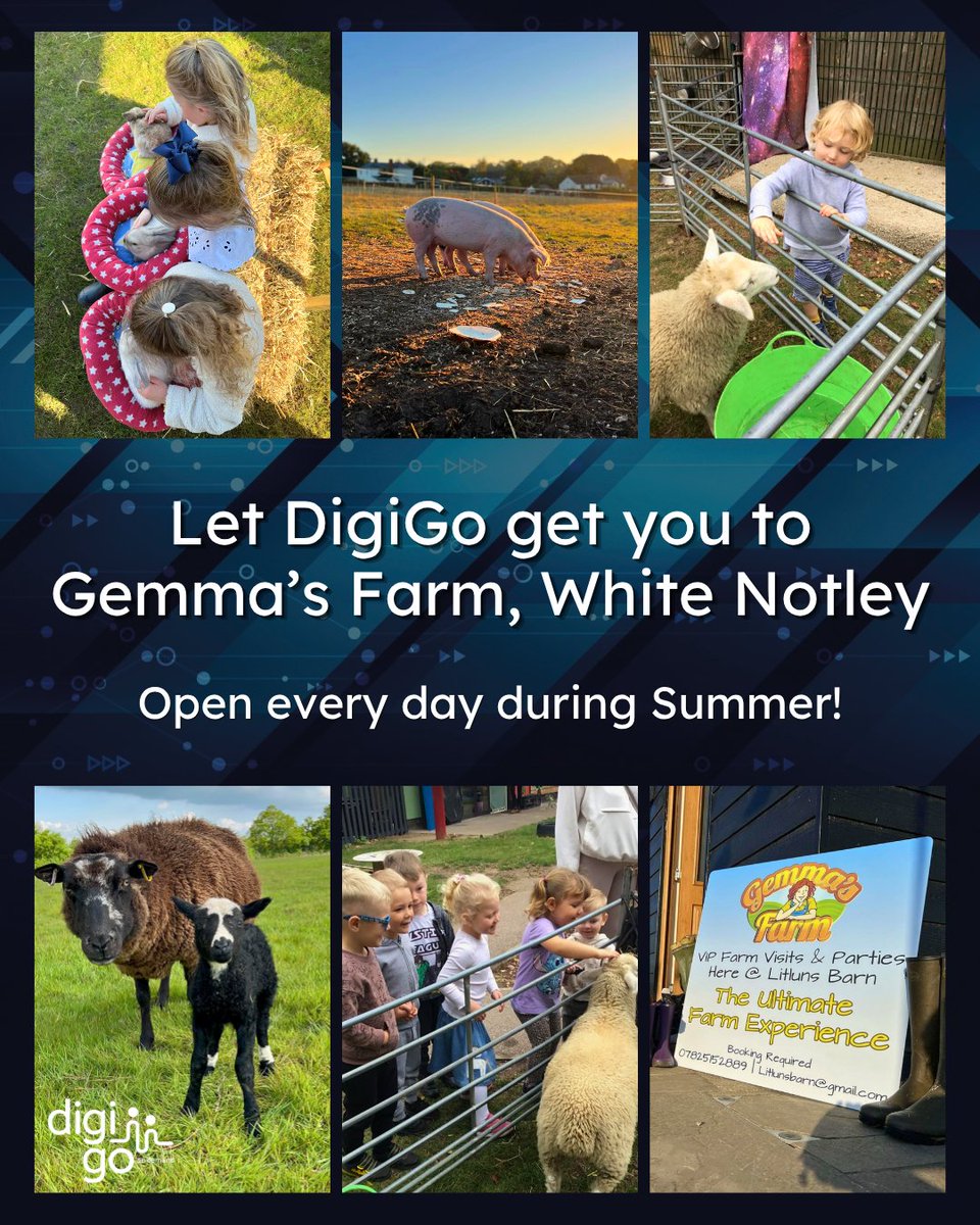 DigiGo tweet media