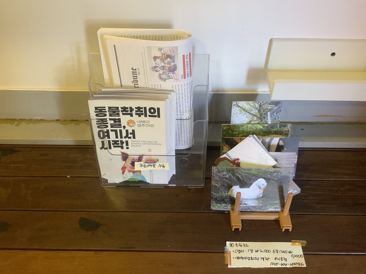 너른벽 tweet media