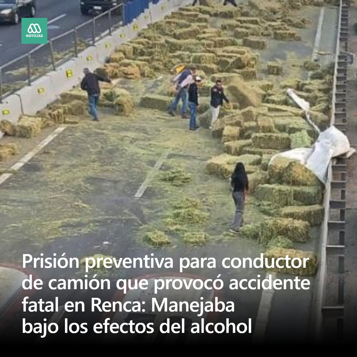 Meganoticias tweet media