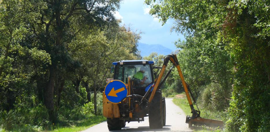 idForestal's tweet photo. Y dice así: "El debate ya no se centra tanto en si hay que intervenir o no en el #bosque, sino en cómo hacerlo sin poner en riesgo ni la biodiversidad ni la protección del territorio." La #gestiónforestal es tan necesaria (y evidente)... https://t.co/9CdwFo8yeP https://t.co/LvT0neNB2F