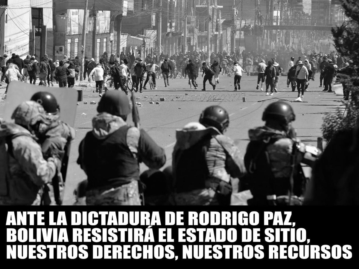 Api 🐝🇵🇸🔥🦈🇵🇸🐅🇵🇸🐦⬛🇵🇸 tweet media