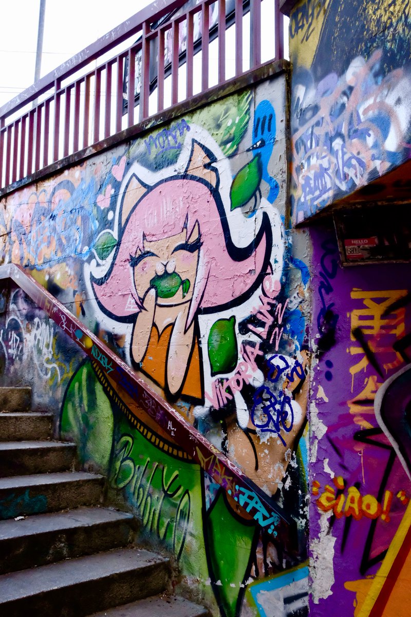 portalegio's tweet photo. #StreetArtFirenze! Il sottopasso delle Cure, nel #Quartiere2, è uno dei tanti spazi liberi a disposizione di #writer e #streetartist nel @comunefi.

➡️Tutti gli spazi dedicati alla #StreetArt sono consultabili su #GoogleMaps: https://t.co/XvRp6afEpK https://t.co/Fj8gPCLdH8