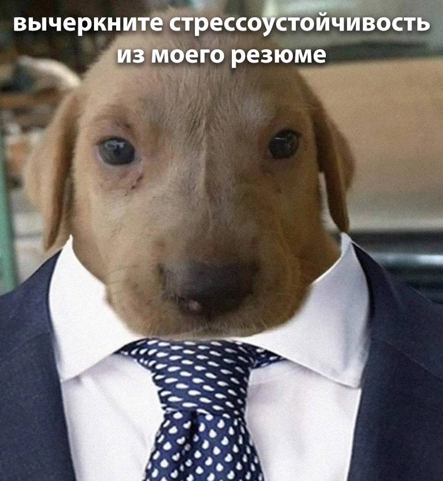 coyl's tweet photo. @steppentiger https://t.co/Cv2barWcsj