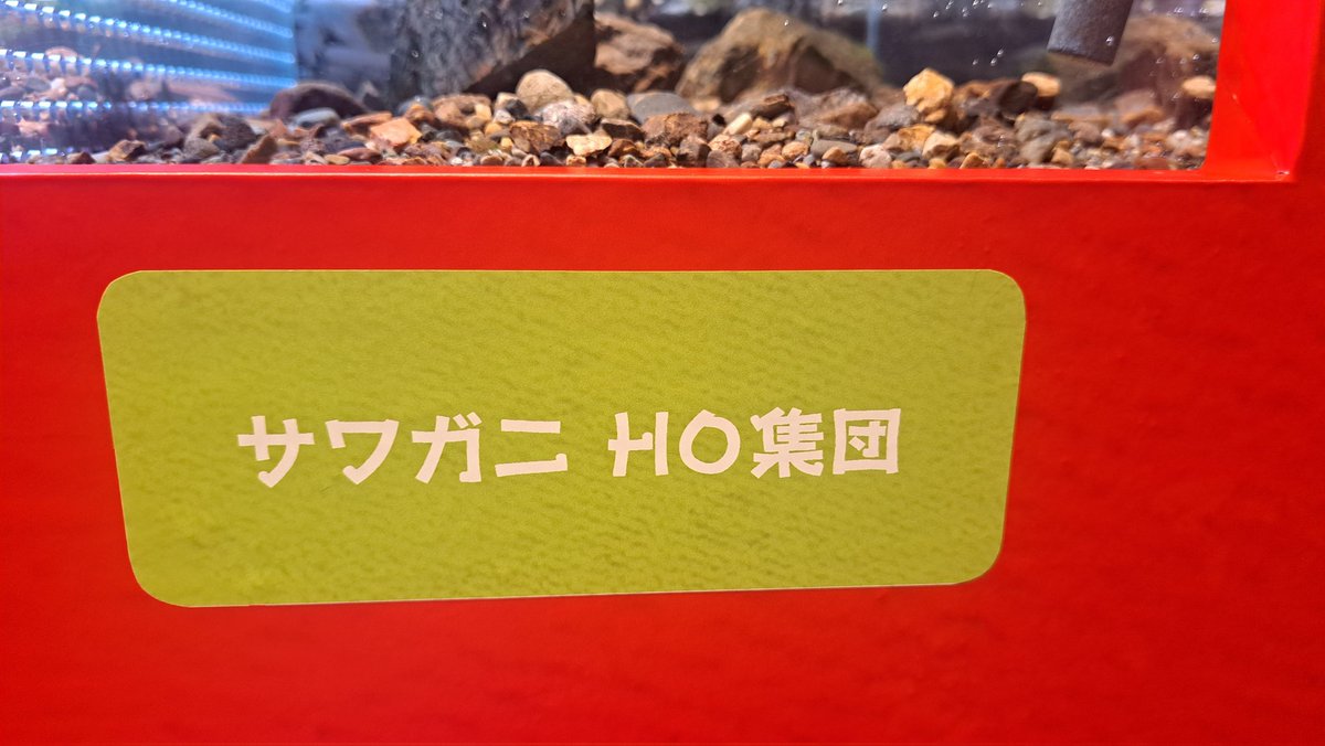 苑樂 tweet media