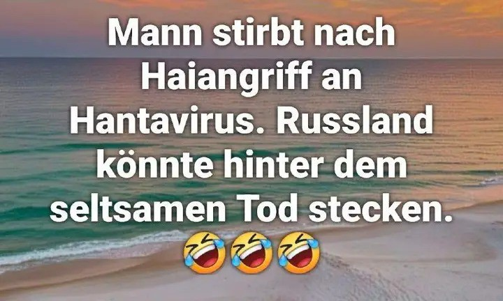 Helmut tweet media