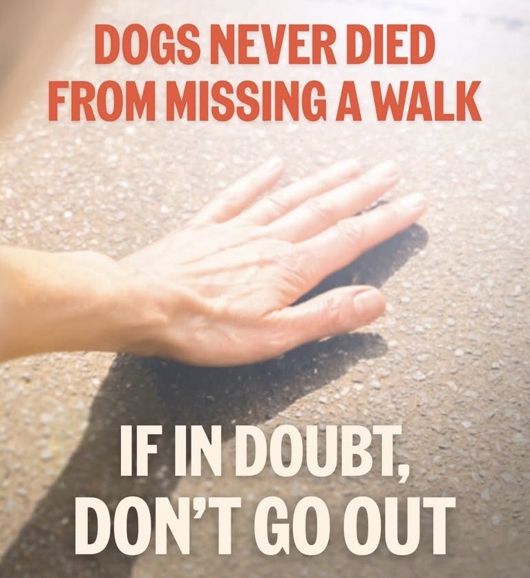 wags_dogs's tweet photo. ☀️🥵🐶
Ernie &amp; me were out at 7am this morning &amp; it was great to see other responsible pawrents &amp; their pups 😃 
If you can’t walk early or late don’t go - it’s not worth the risk ⚠️ https://t.co/UhBVD3Ky9i