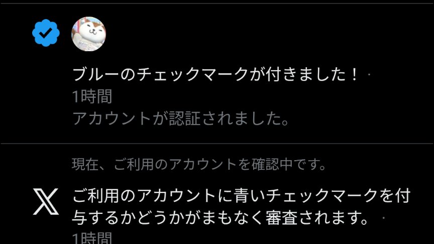 何かX運営から青チェックの審査が開始されてて、結果無事に青チェック