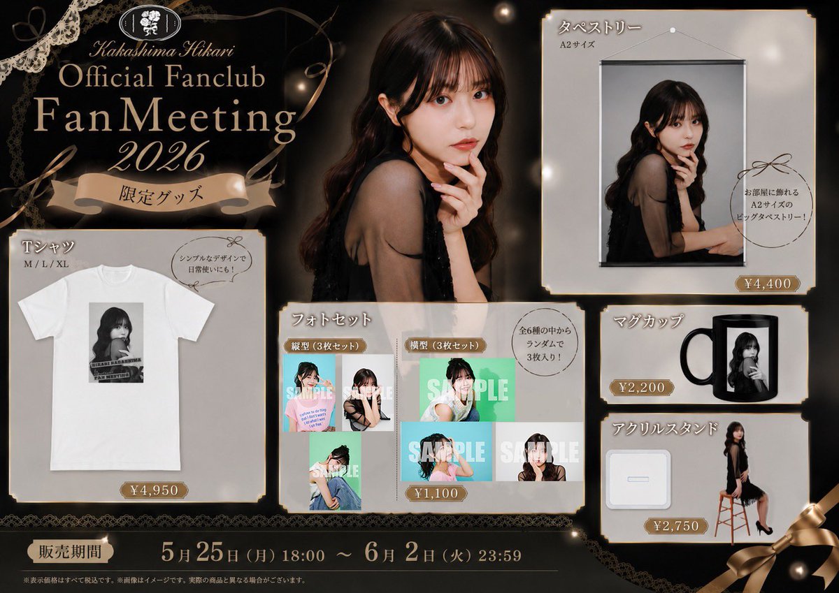 Elegant Fan Meeting Goods Flyer