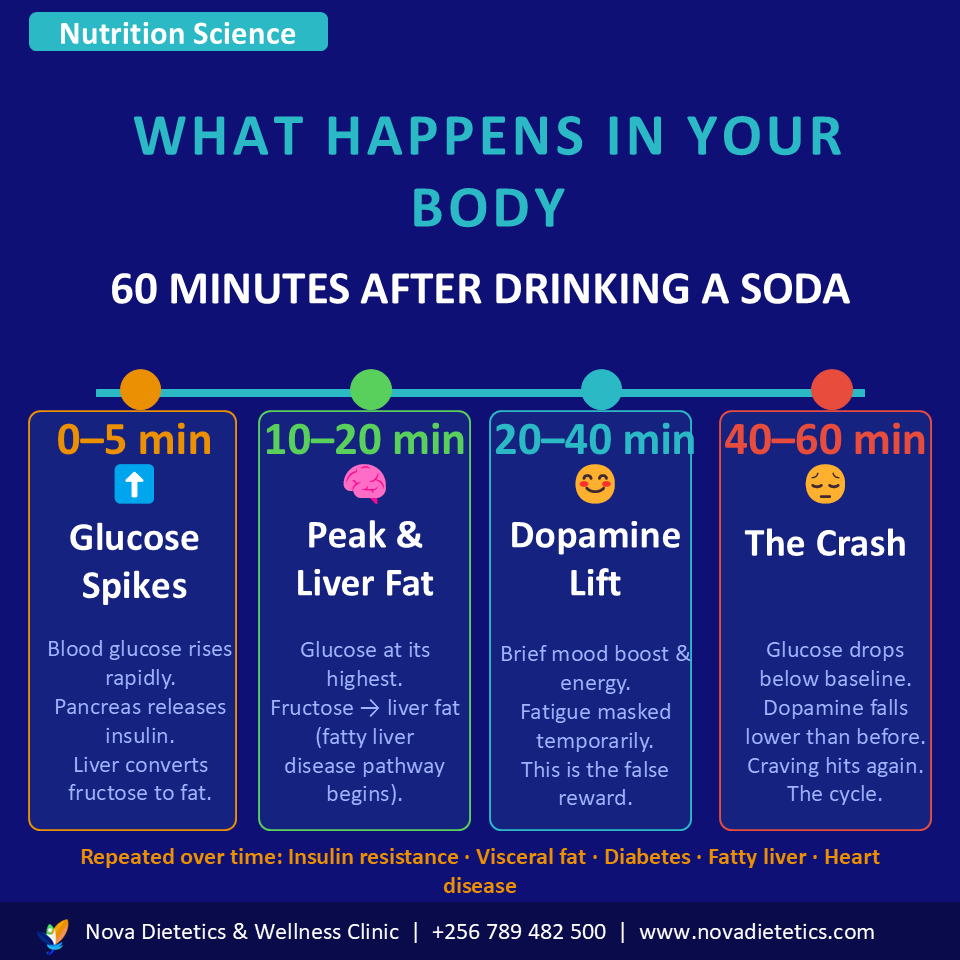 Nova dietetics & Wellness Clinic tweet media