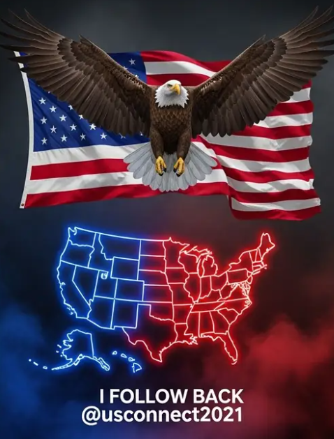 USConnect tweet media
